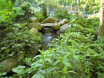 Man made stream and waterfall